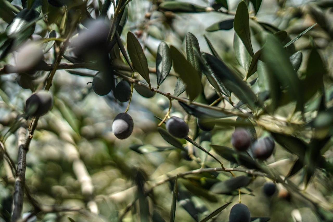 סן ברתולומיאו אל מארה Agriturismo La Rocca מראה חיצוני תמונה