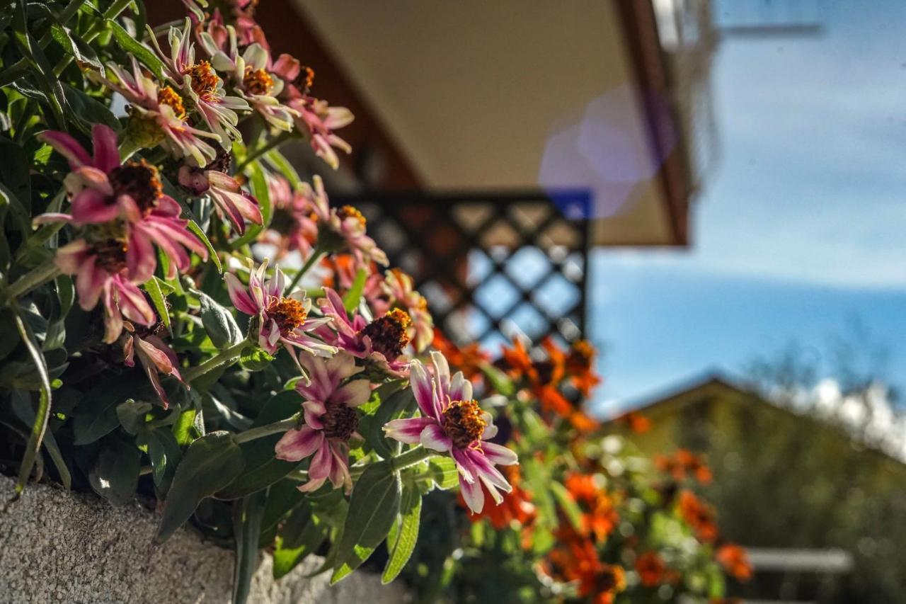 סן ברתולומיאו אל מארה Agriturismo La Rocca מראה חיצוני תמונה