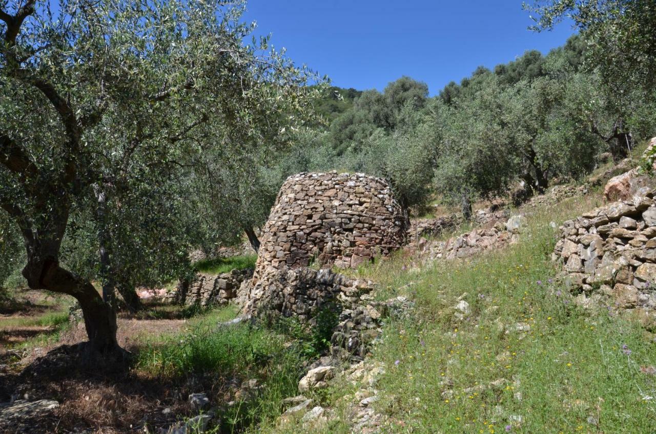 סן ברתולומיאו אל מארה Agriturismo La Rocca מראה חיצוני תמונה